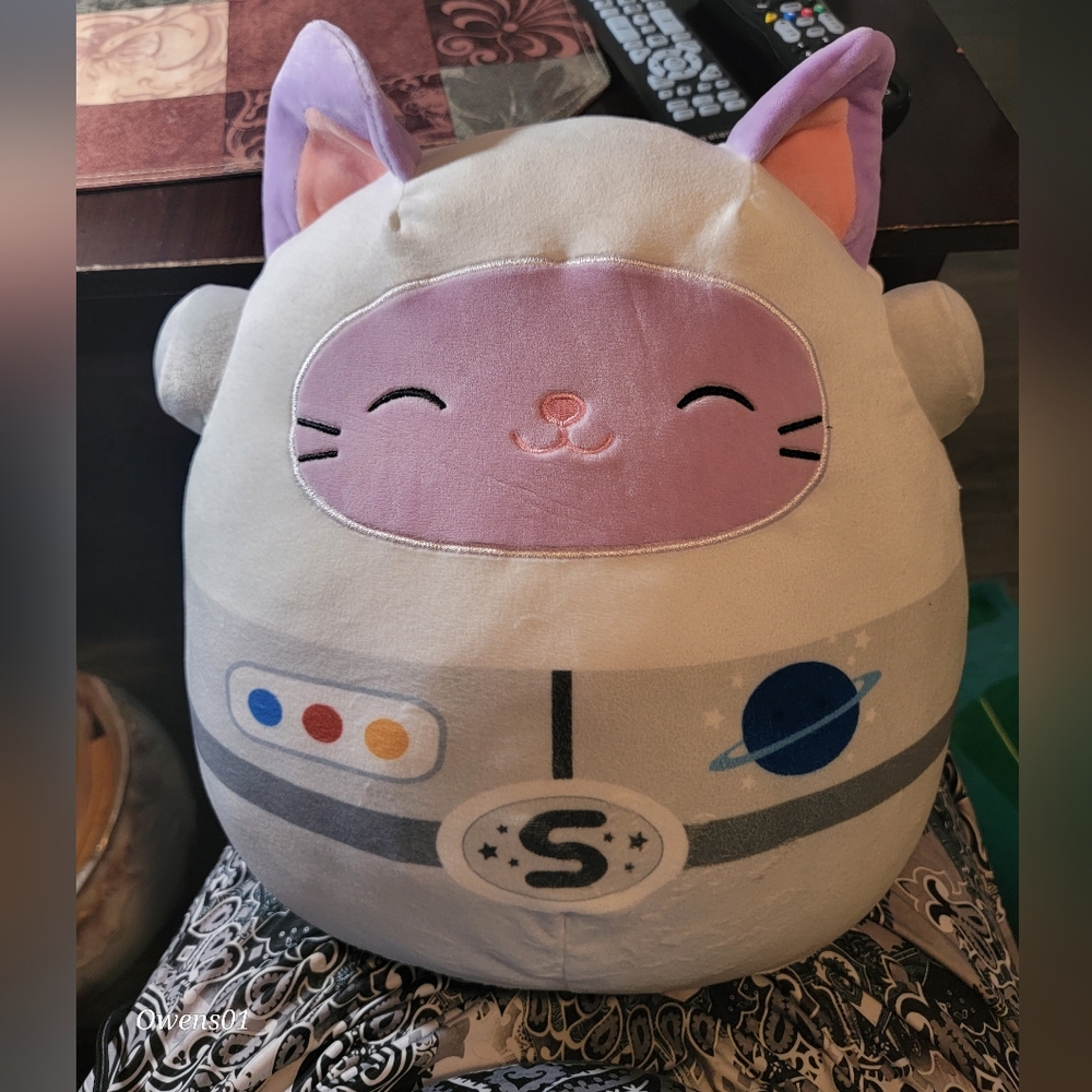 13in Astro Cat